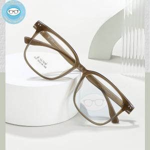 Gọng nhựa mã 037